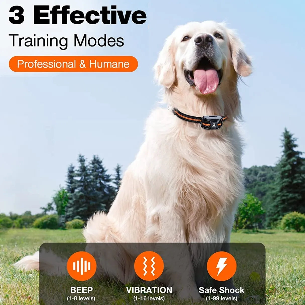 Dog Training Collar