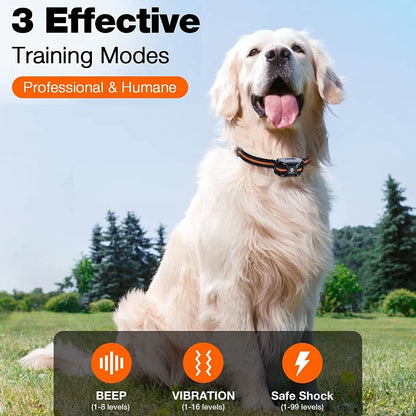 Dog Training Collar